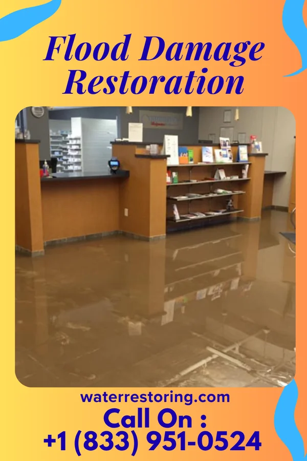 Flood Damage Restoration in Sammy Martinez, TX